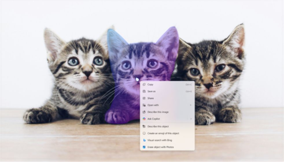 Win11 Beta / Dev 26×20.6772 预览版发布:附KB5065797完整更新日志