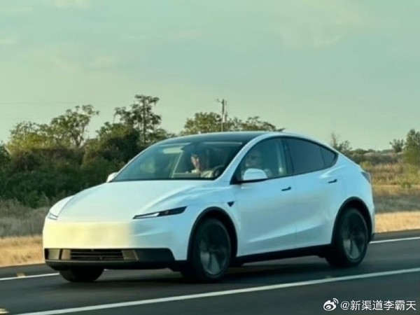 特斯拉廉价版Model Y曝光图