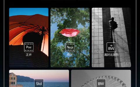 真我GT8 Pro将搭载五大理光经典影调 新一代街拍神器