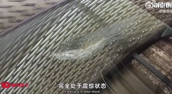 特斯拉回应Model Y被陨石击中：最高优先级是确保安全