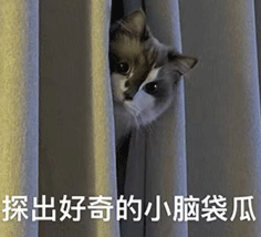 OpenAI奥特曼认错：我天生不适合管理公司