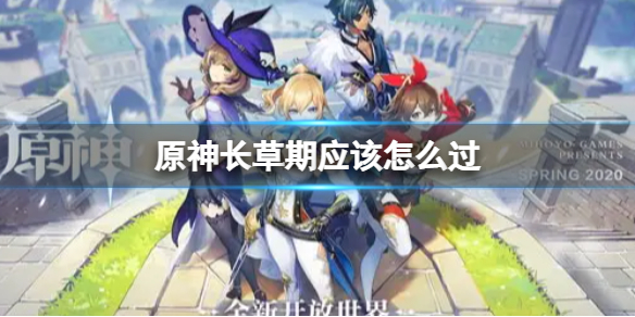 《原神》长草期怎么过 长草期怎么才能不长草