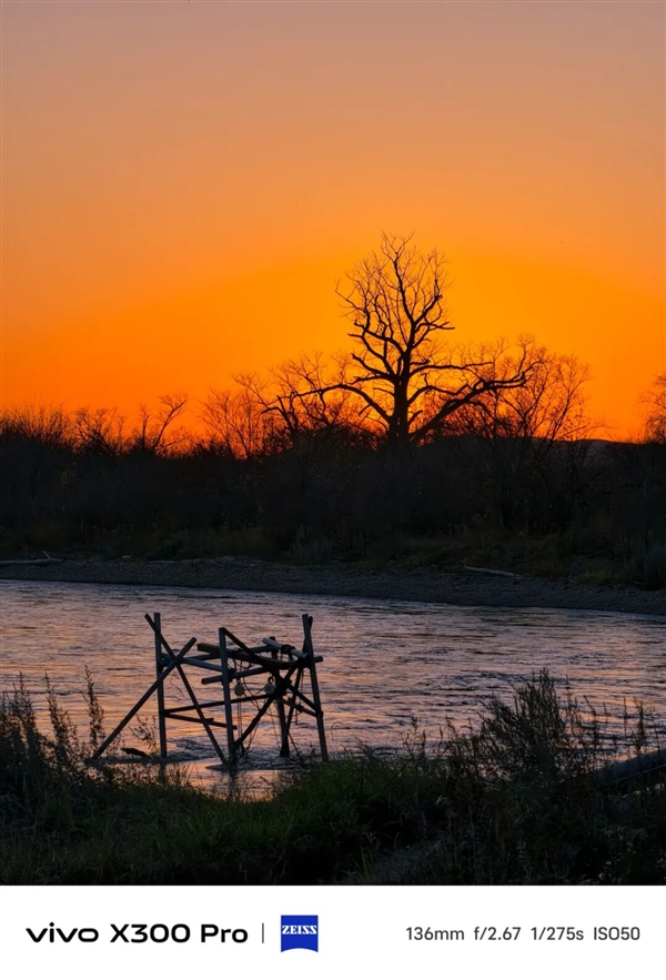 vivo刚发布的这台手机 让我不想再带相机出门