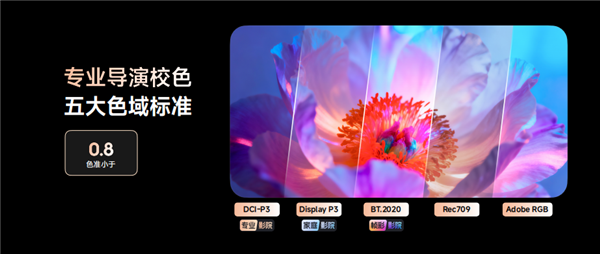 2025双十一客厅投影选谁 坚果N5 Pro Max和当贝 X7 Ultra 核心区别扒清楚