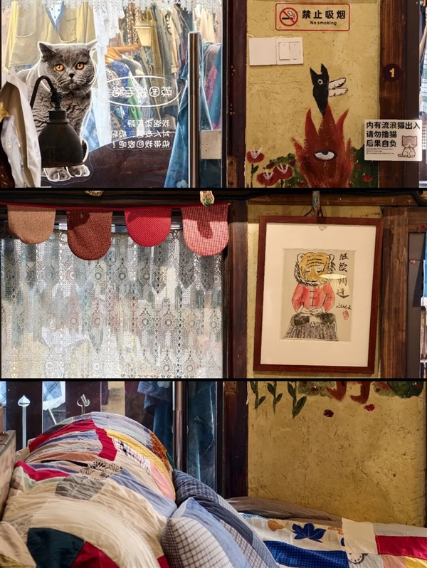 vivo刚发布的这台手机 让我不想再带相机出门