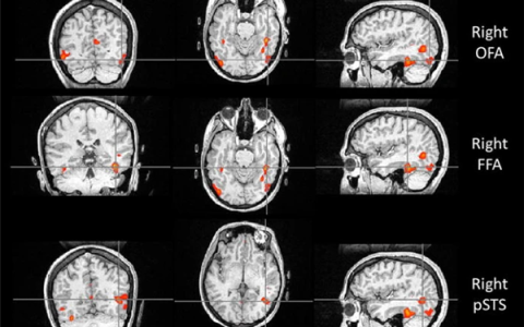 一个人能记住多少个人的脸 这个数字赌你猜不到