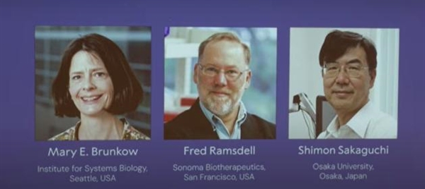 2025年诺贝尔生理学或医学奖公布！三位科学家获奖 奖励832万元