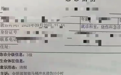 被智能马桶喷开水烫伤女子已痊愈：赔偿款全部到位 准备起诉网暴者