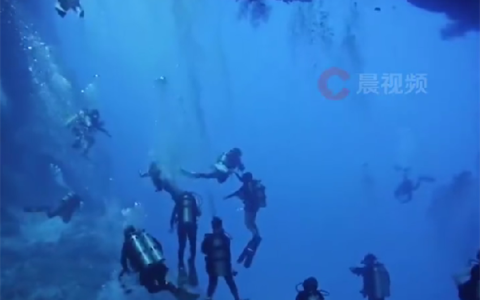 中国游客在帕劳潜水像下饺子：去海都要排队 鱼还没有人多