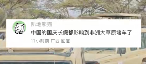 中国人国庆放假 东非大草原都堵车了  网友：聚是一栋楼 散是满地球