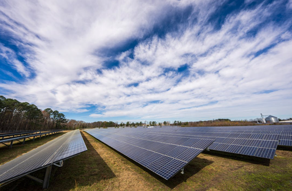 光伏协会澄清“连开三天会”传闻 权威人士：确有光伏产能调控政策将出台
