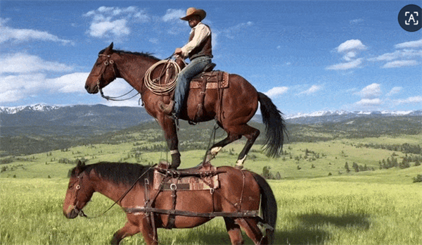 刷屏！OpenAI Sora 2重磅登场 奥特曼被“玩坏了” 或将成为AI时代新抖音