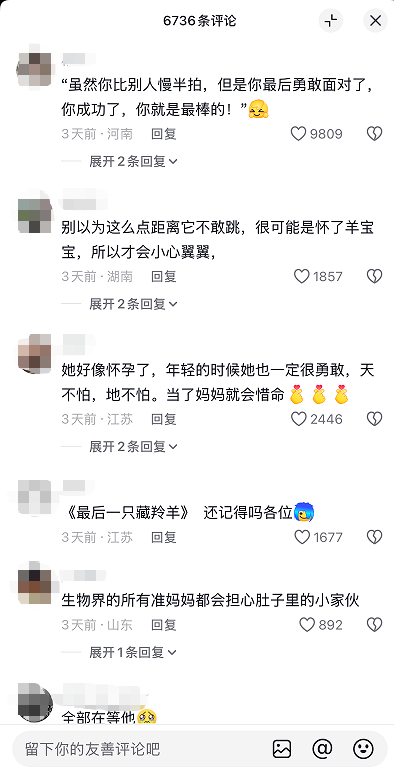 网友偶遇岩羊“飞渡” 其中一只踟蹰后一跃勇敢过河 震撼瞬间被拍下