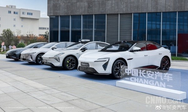 国外预测：中国纯电动车份额将在2033年突破90%