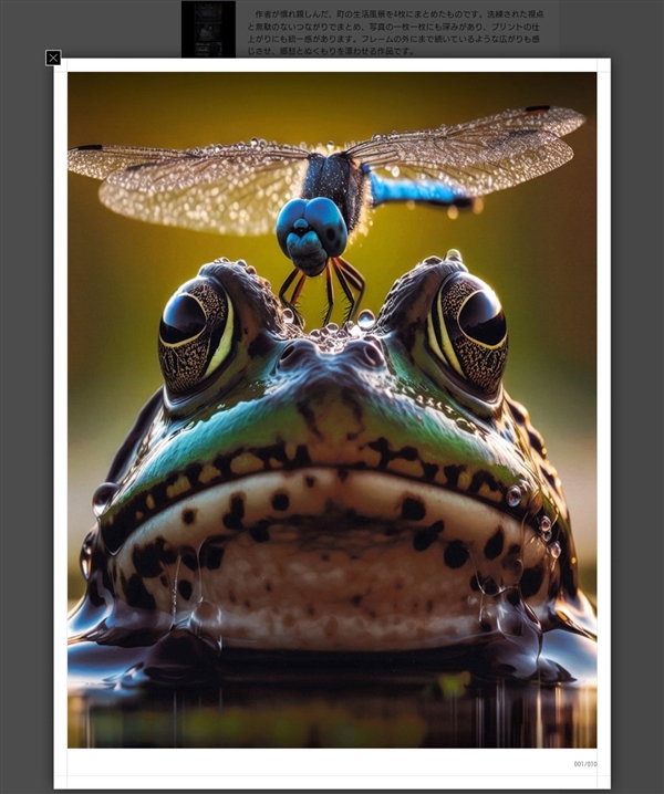 日本摄影赛一等奖被发现是AI生成：主办方紧急撤销其资格