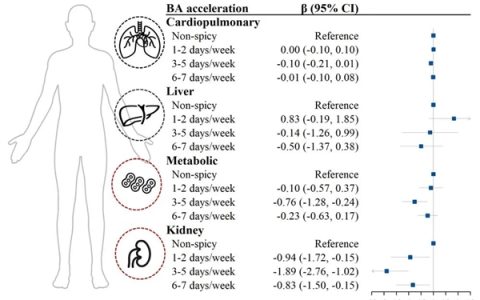 爱吃辣的人有福了 研究证实：吃它可能更长寿