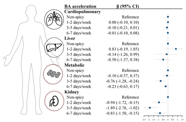 爱吃辣的人有福了 研究证实：吃它可能更长寿