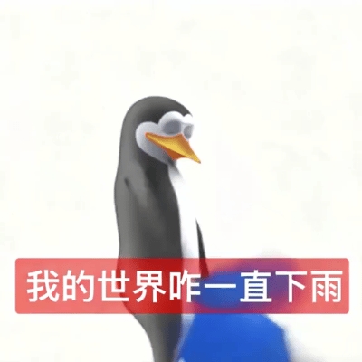 真的想问：下雨天的时候 鸟都在干什么呢